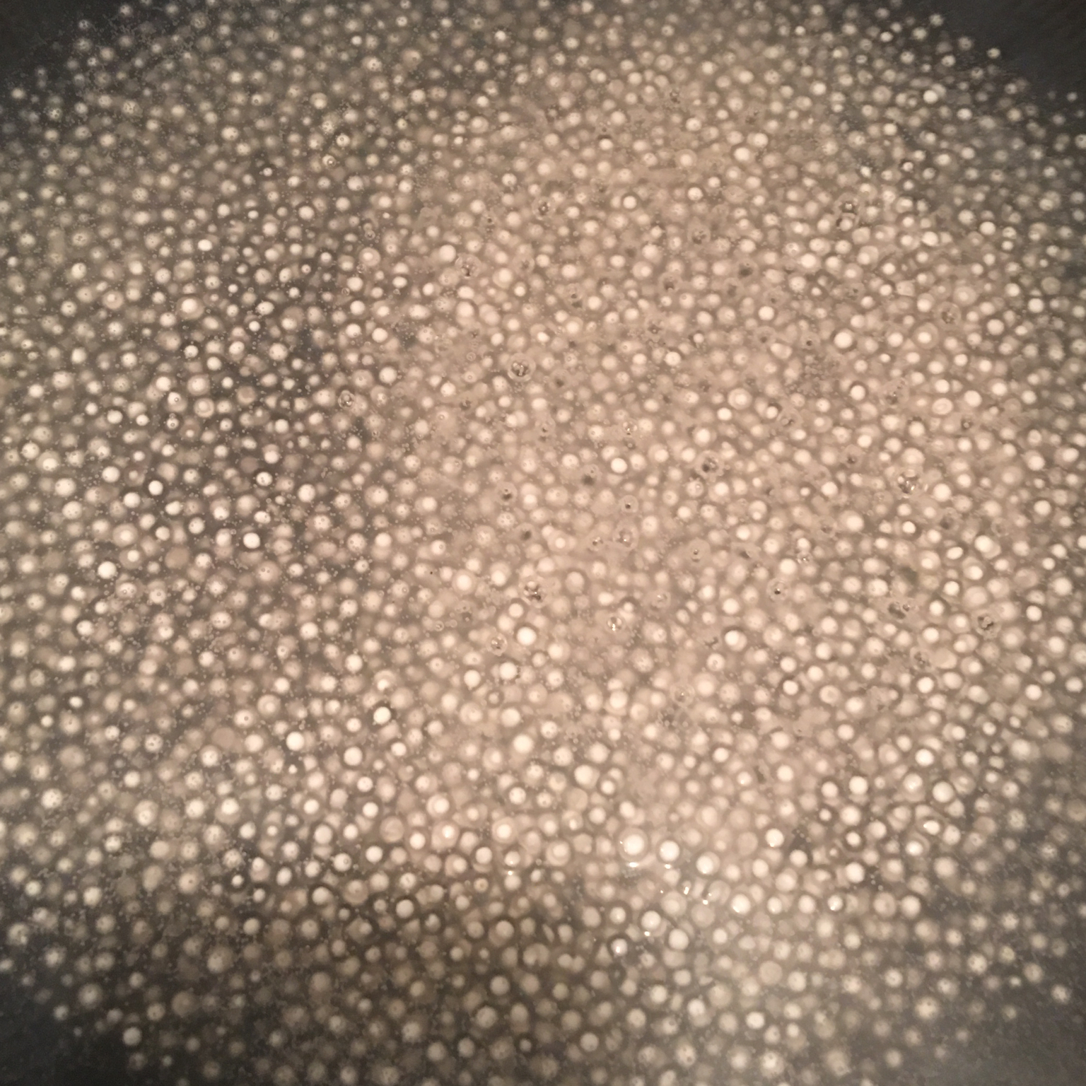 水果西米露