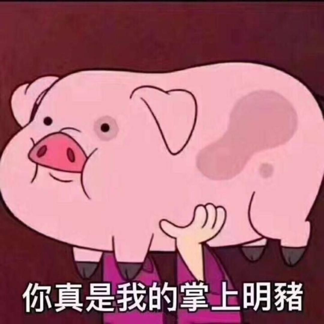 掌上明猪喂养记
