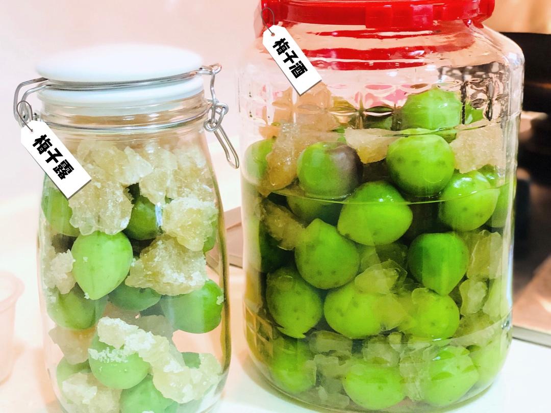 【青梅酒】梅子的沉醉时光（已填坑）