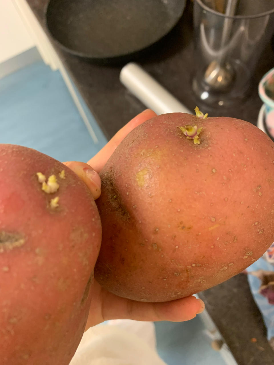 贼简单丨零厨艺Jacket Potato 微波炉烤土豆
