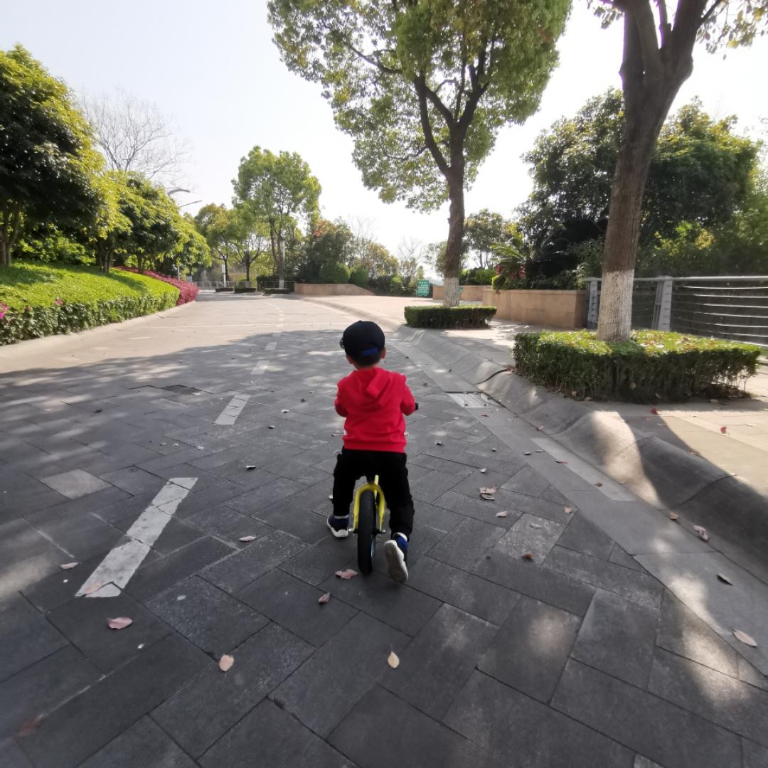 萌虎子乖