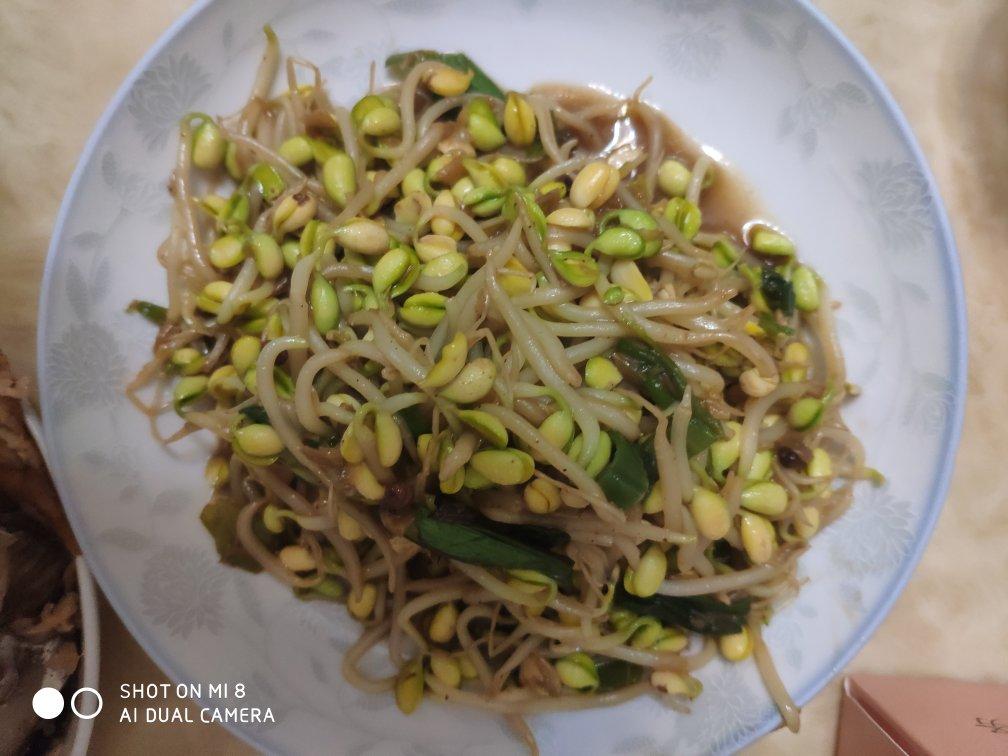 炒黄豆芽