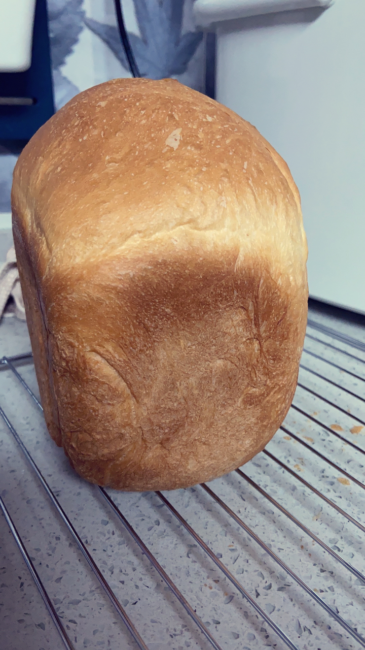 松下面包机105面包