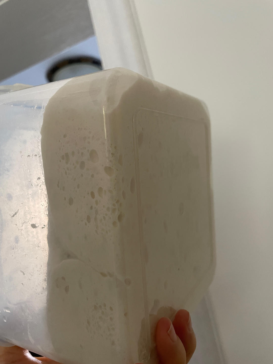 无糖无油的全麦欧包