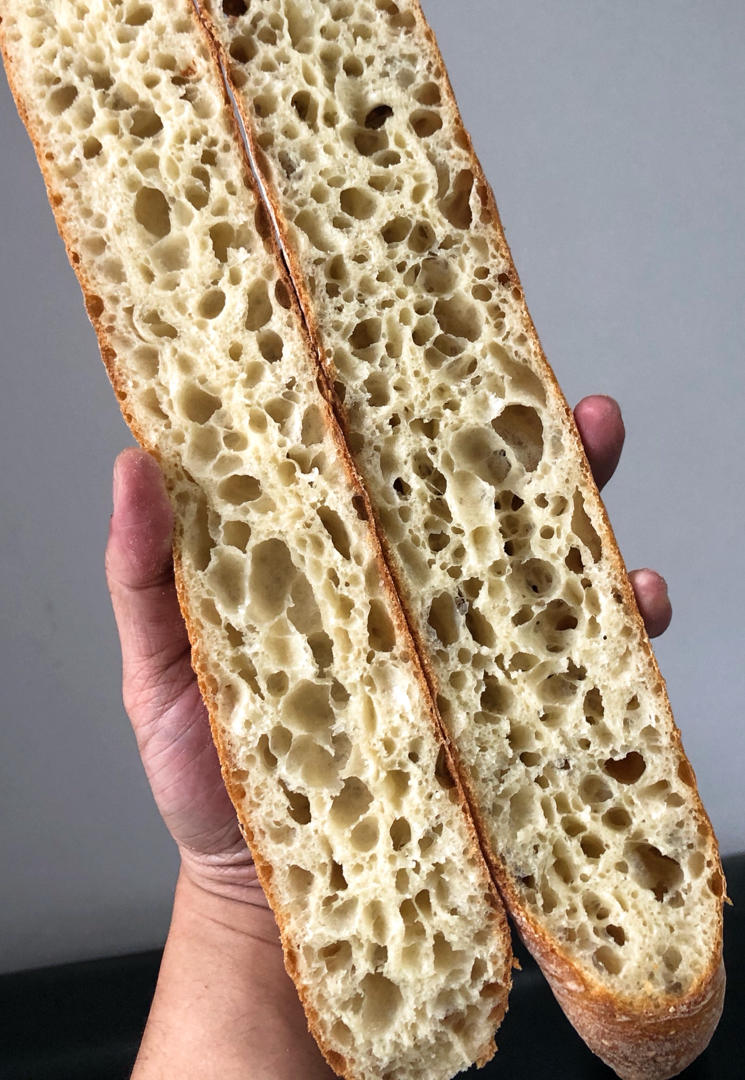 快速法棍【鲁邦种】