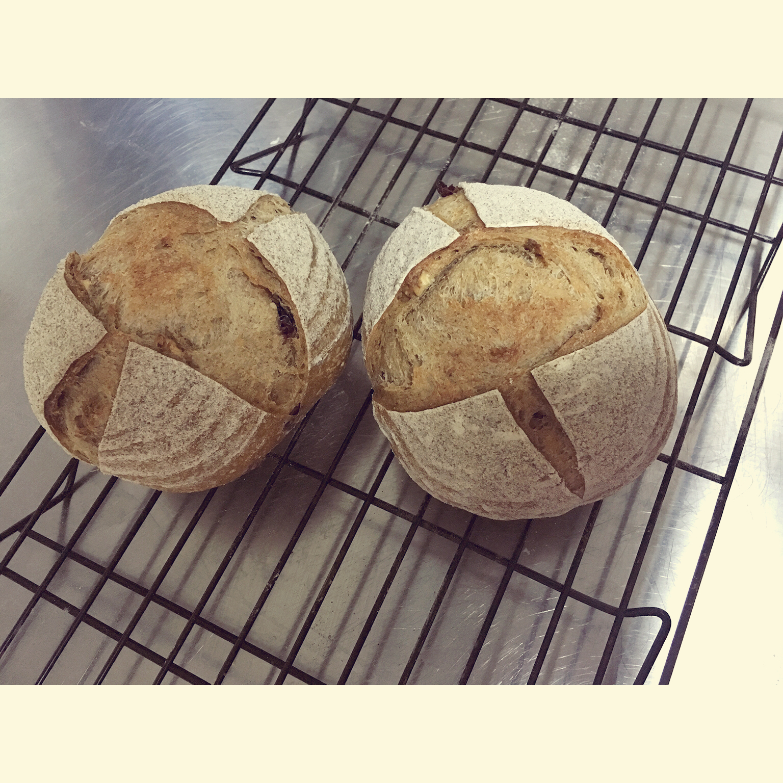 天然酵母黑麦红糖坚果欧包