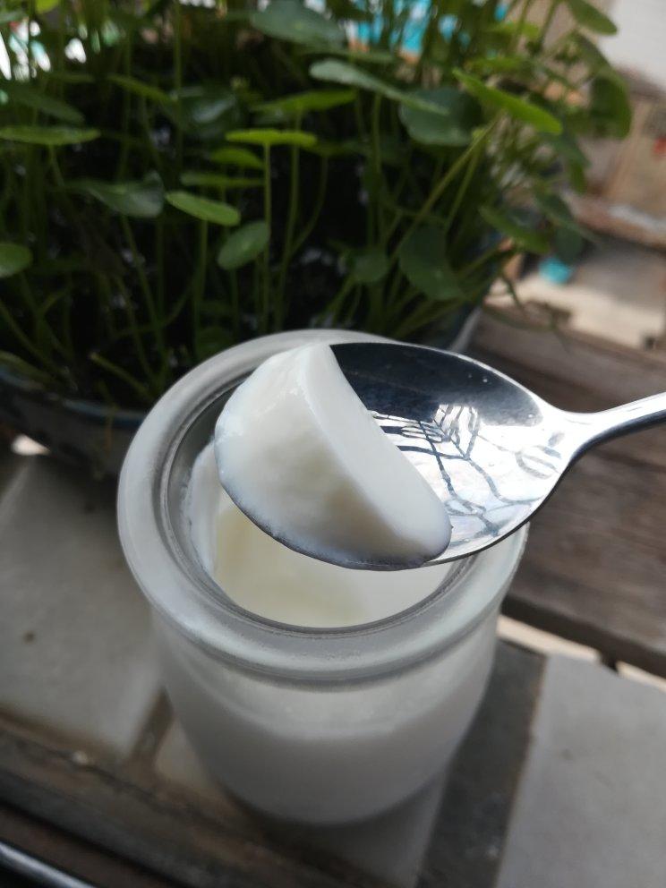 烤箱自制酸奶