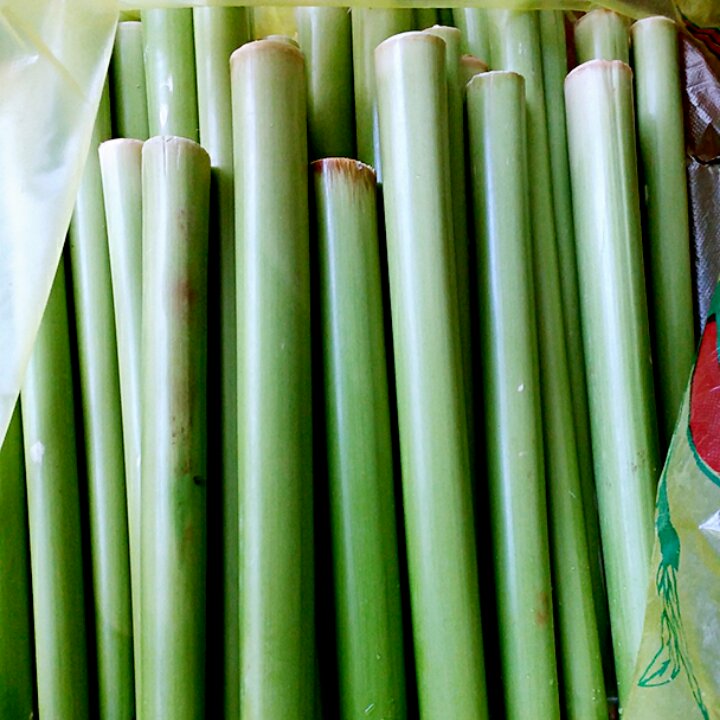 芦粟的正确打开方式