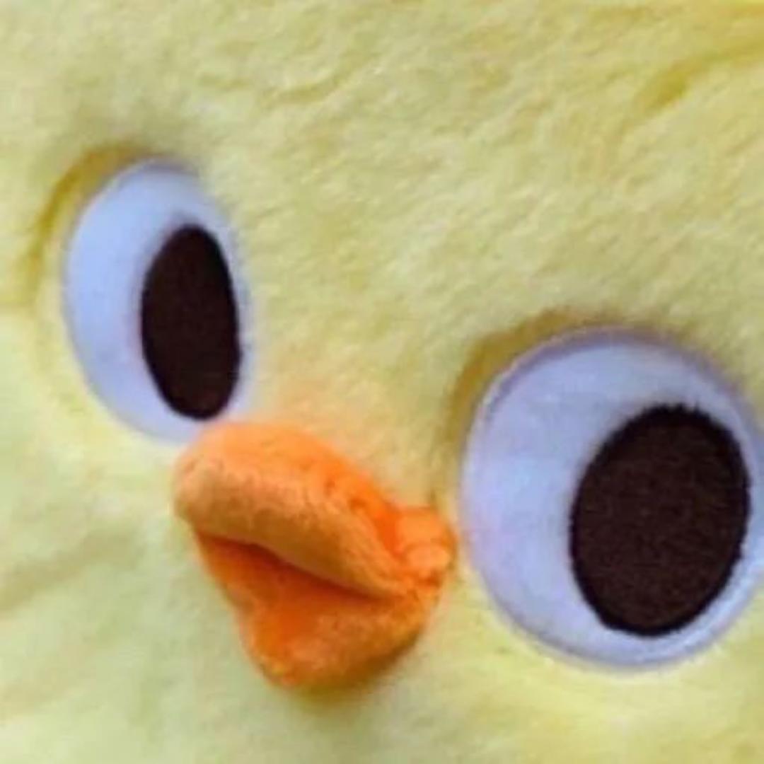 云一依