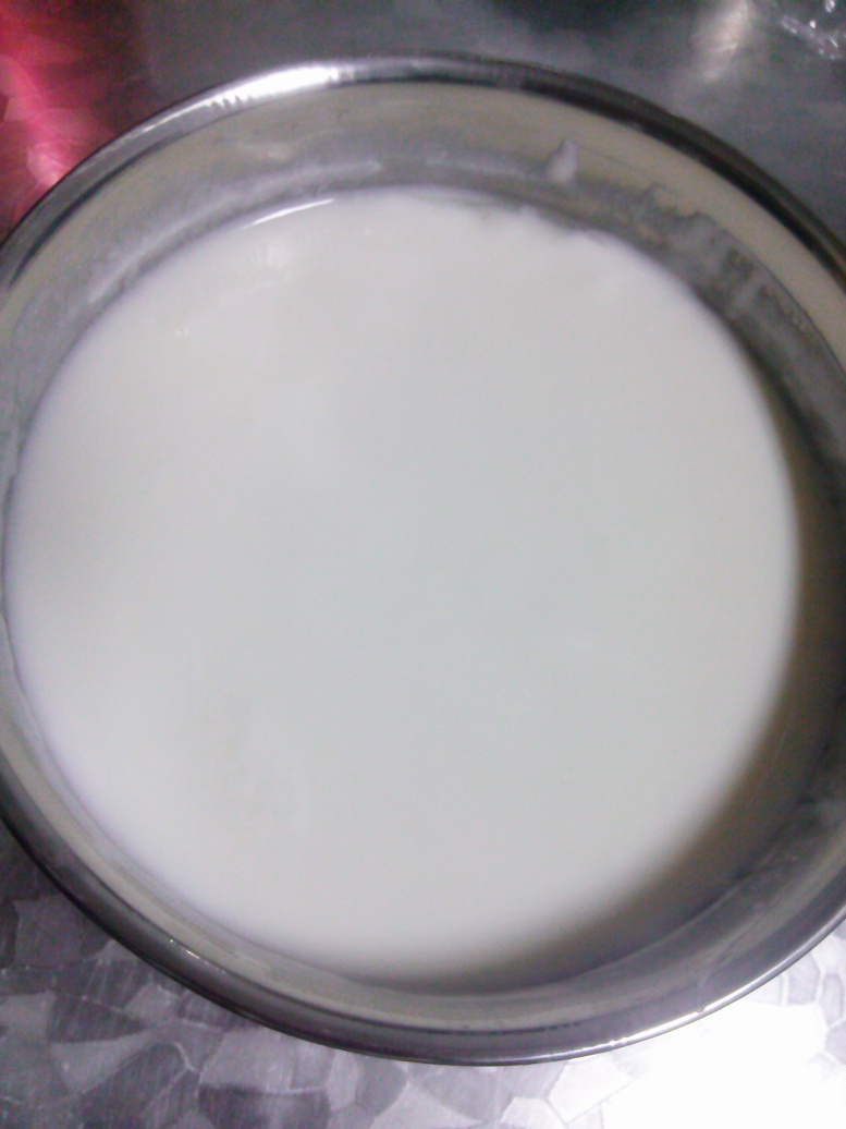 小熊酸奶机自制酸奶