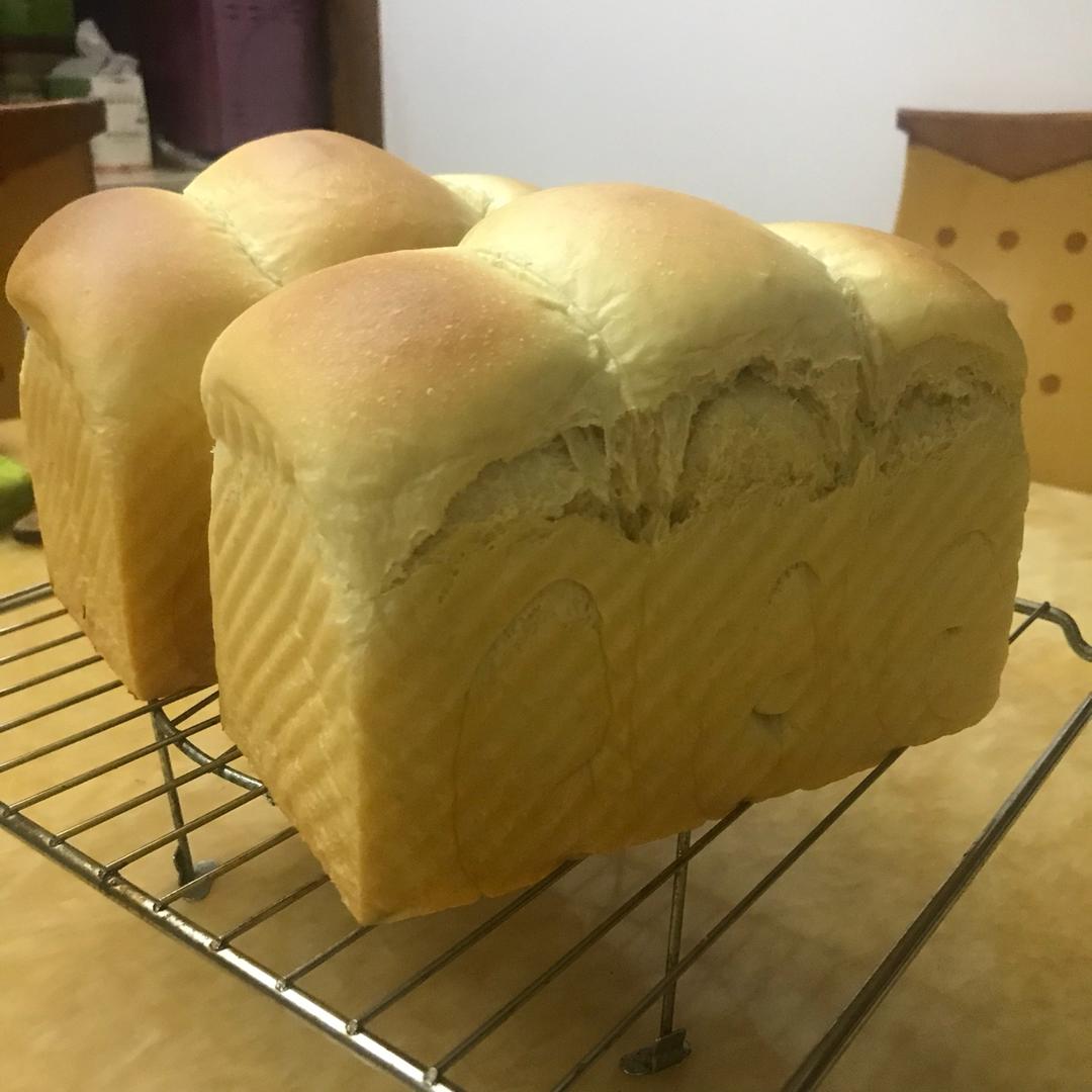 北海道吐司--100%中种