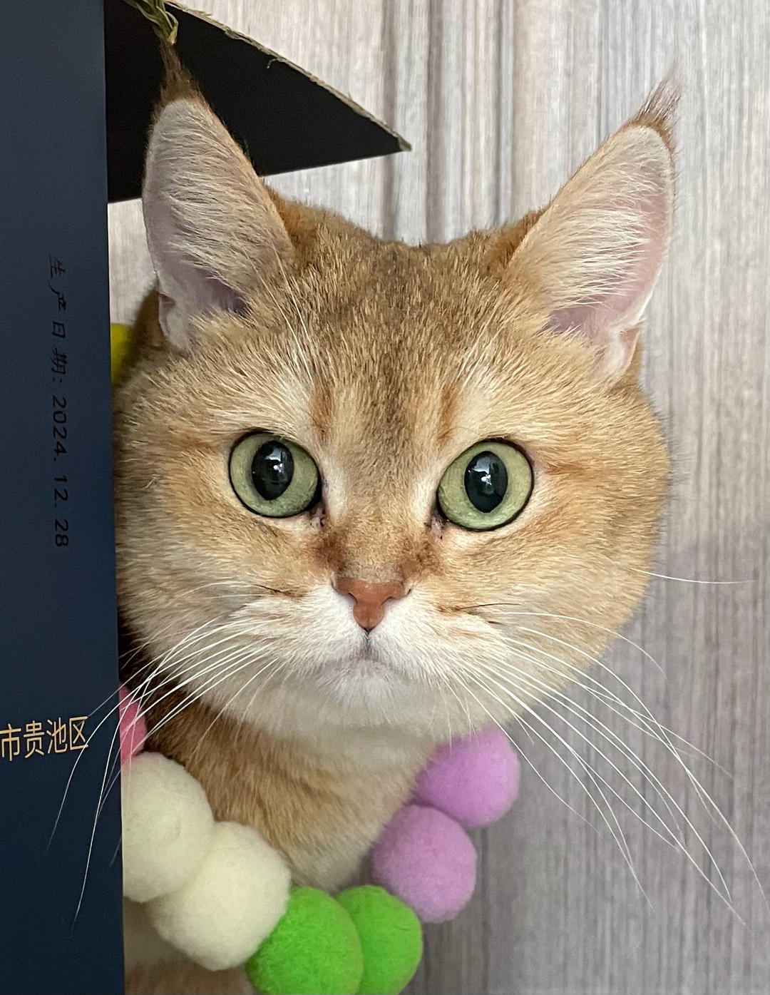 啪嗒啪嗒砰啪嗒