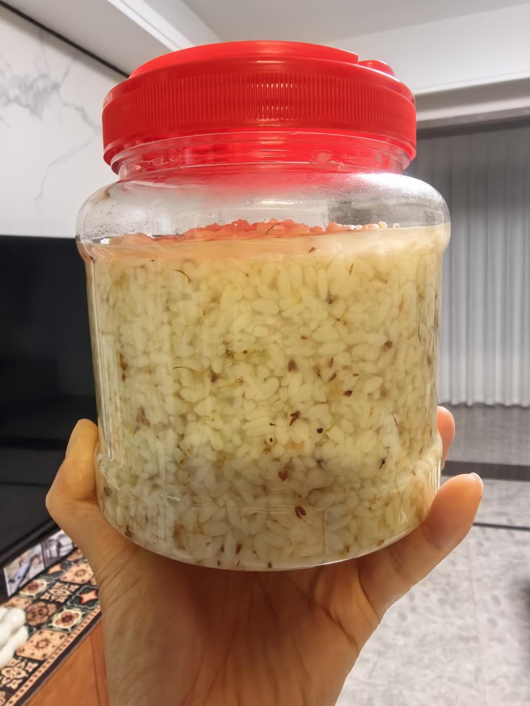 自制醪糟/酒酿/米酒