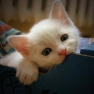 妮妮呢呢居然被抢注