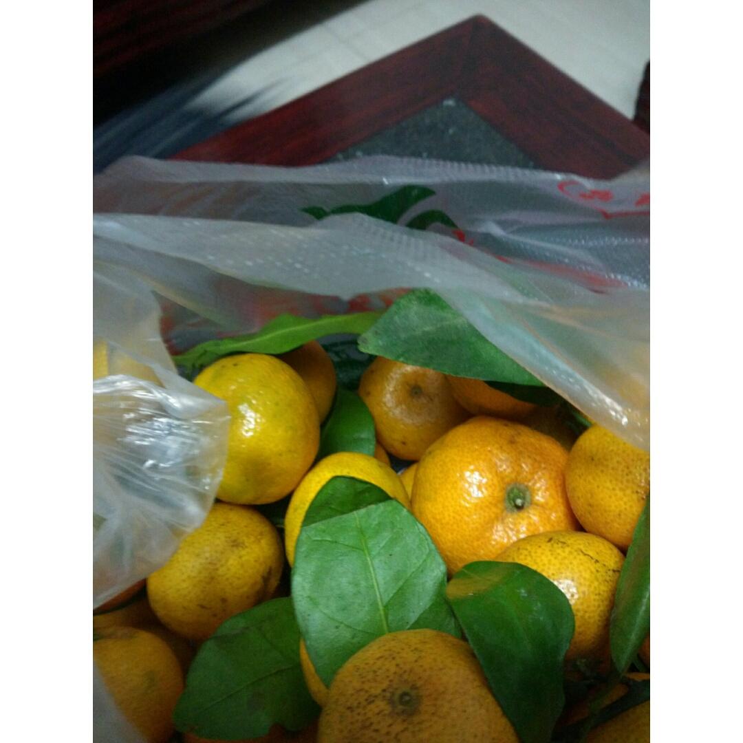 晚餐•2016年12月15日