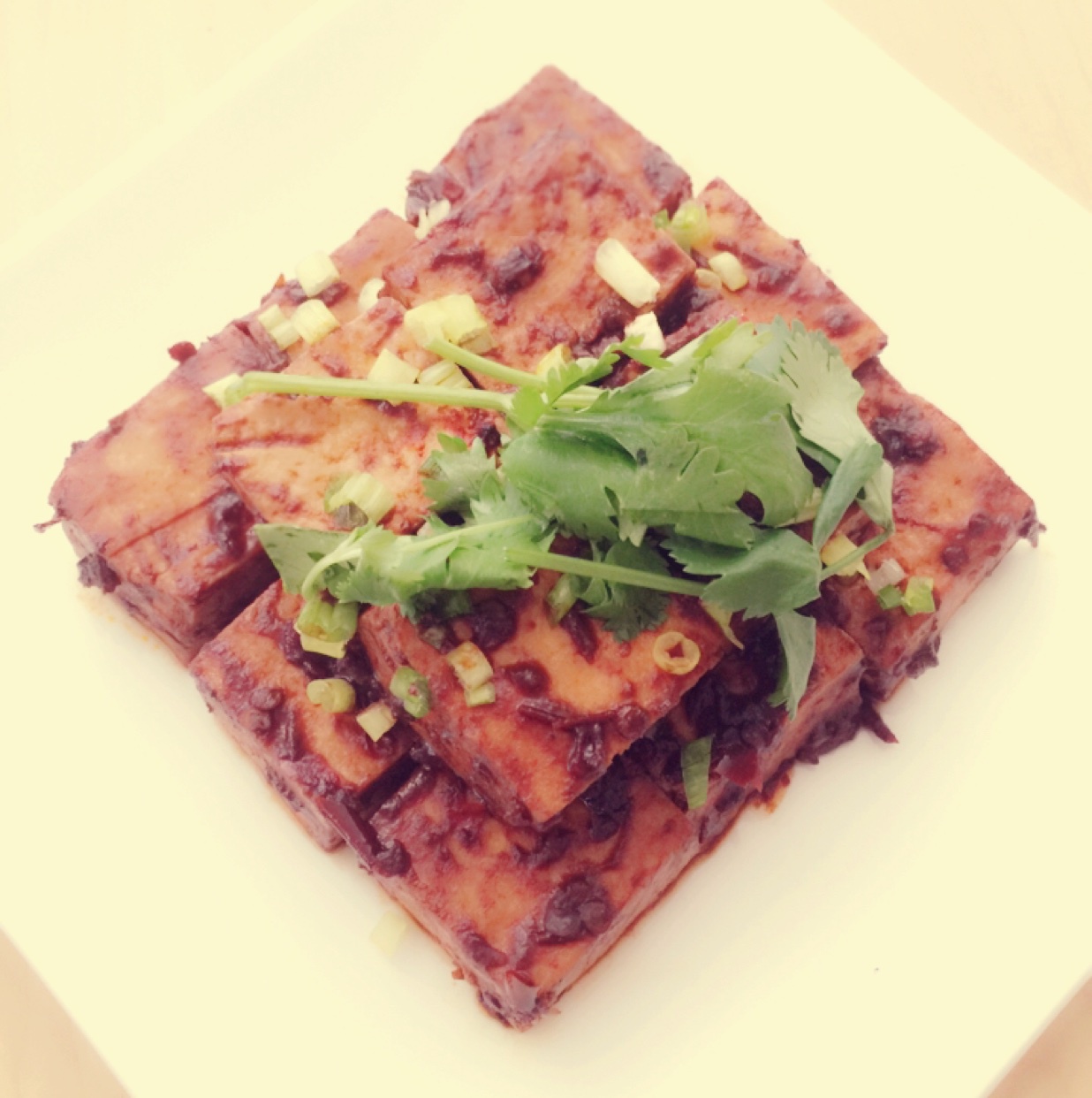 红烧豆腐