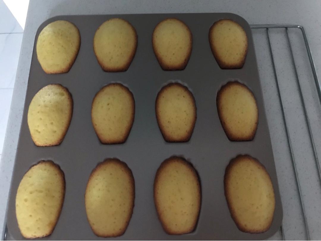 《Tinrry+》柠檬玛德琳