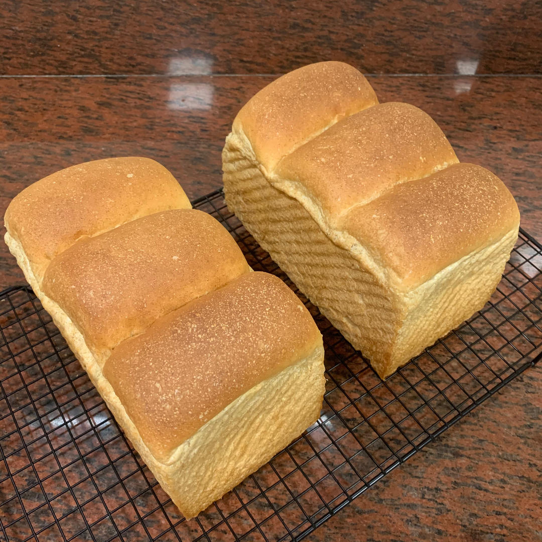 波兰种全麦吐司（40%全麦）
