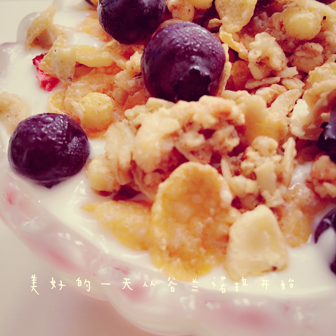 家乐氏谷兰诺拉 水果酸奶杯