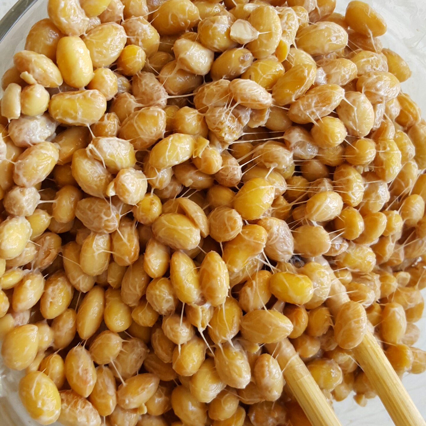 sunshine000做的纳豆