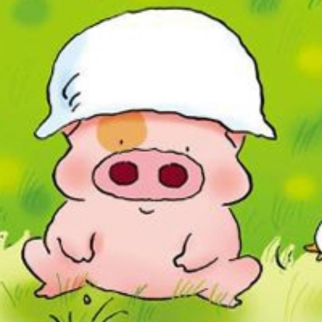 pig麦兜