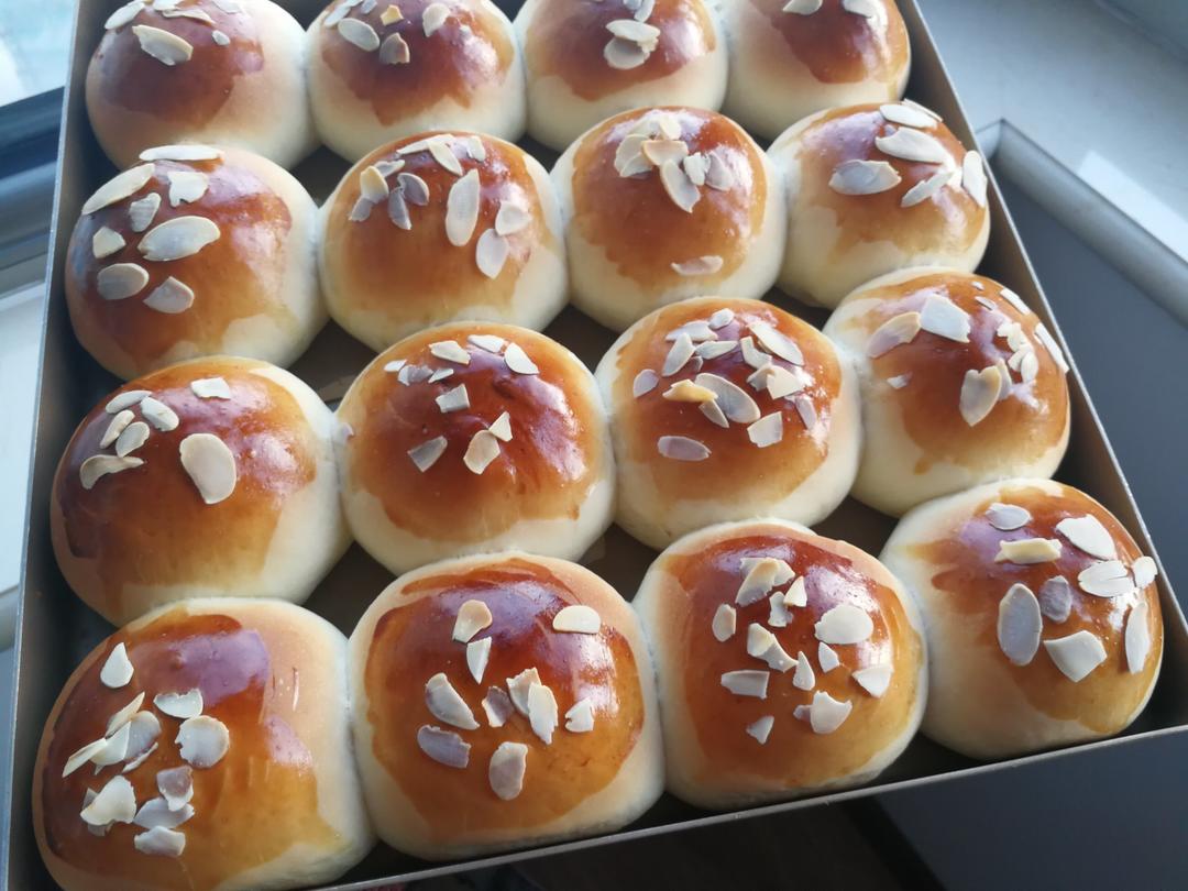 鲜奶油小餐包（一次发酵）