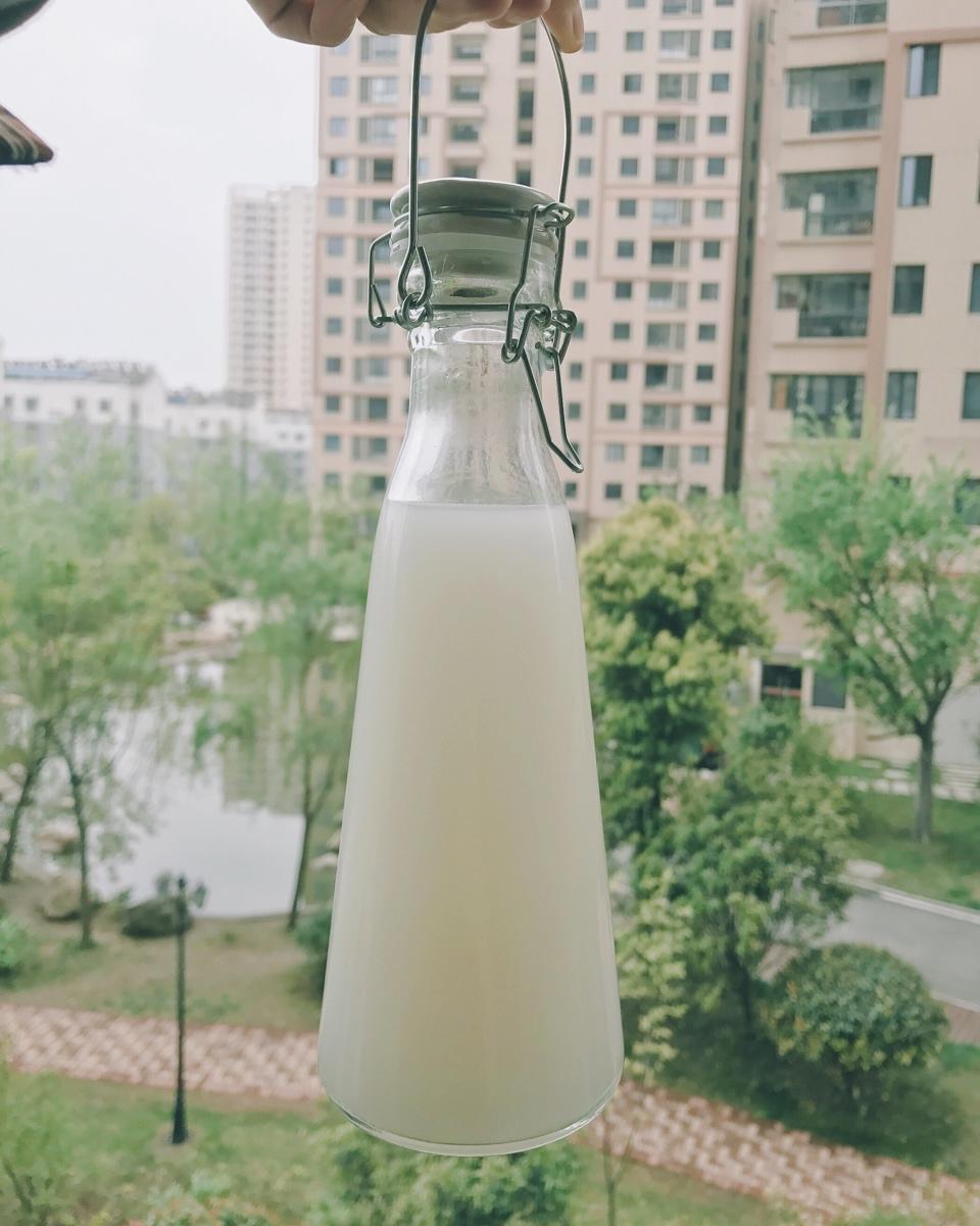 醪糟、酒酿；米酒、甜酒的区别和自制