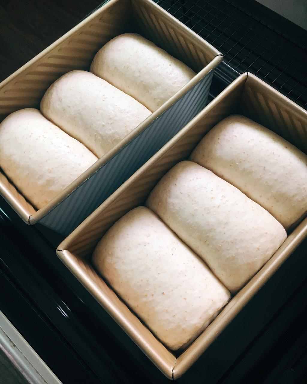 我的100个吐司练习