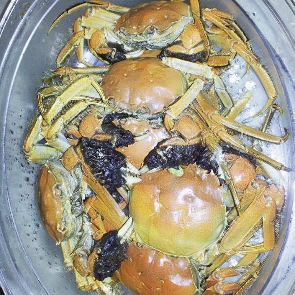 清蒸大闸蟹