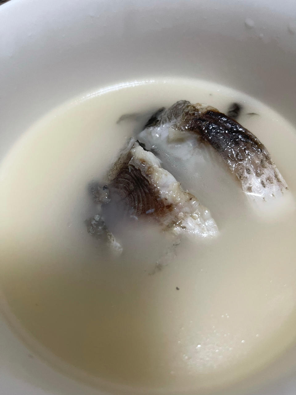 鲜浓鱼汤鲤鱼汤（鲫鱼汤）