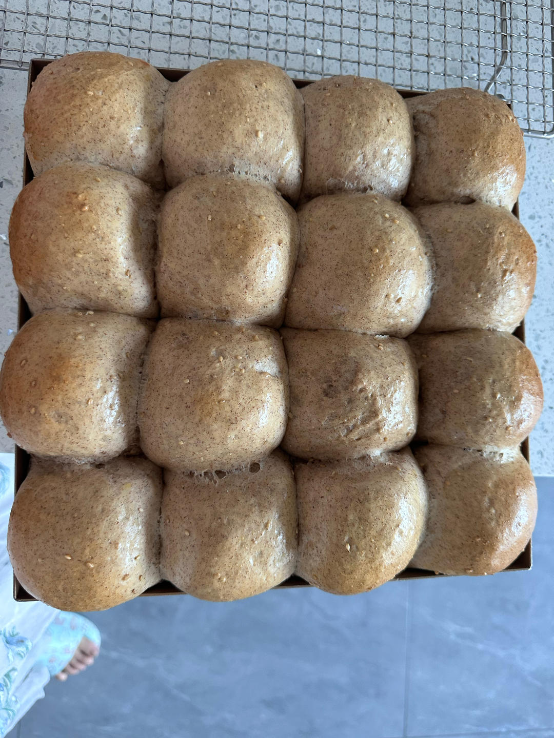 波兰种全麦面包🍞