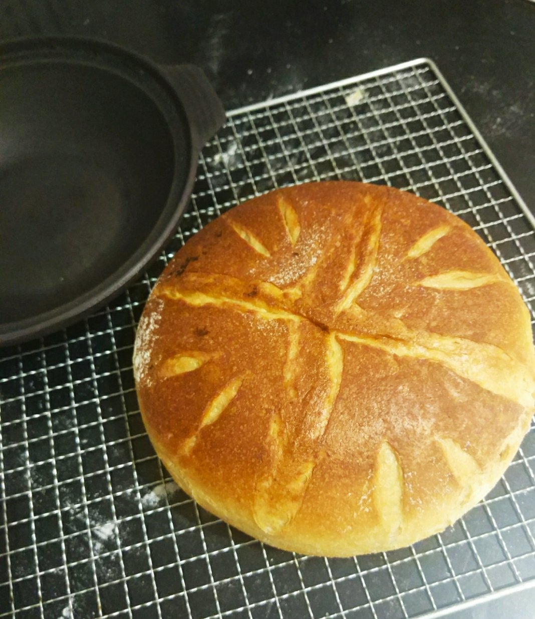 铸铁锅免揉面包