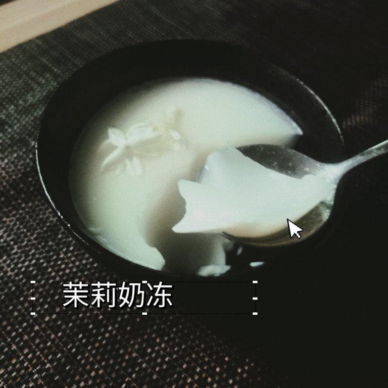 一口爱上  清香低脂茉莉奶冻