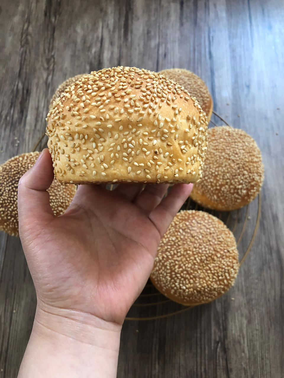 鲜奶汤种汉堡胚