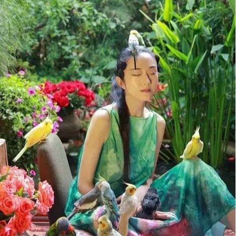 手机用户1582_h5gq