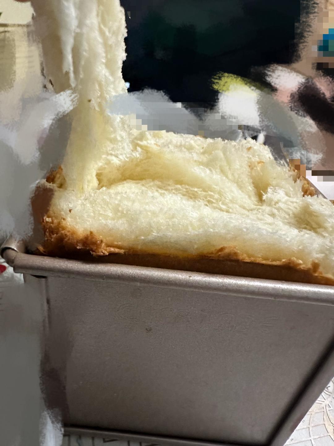 10L小烤箱烤一切--（已优化）125/250g一发软到没朋友的手撕拉丝水立方吐司