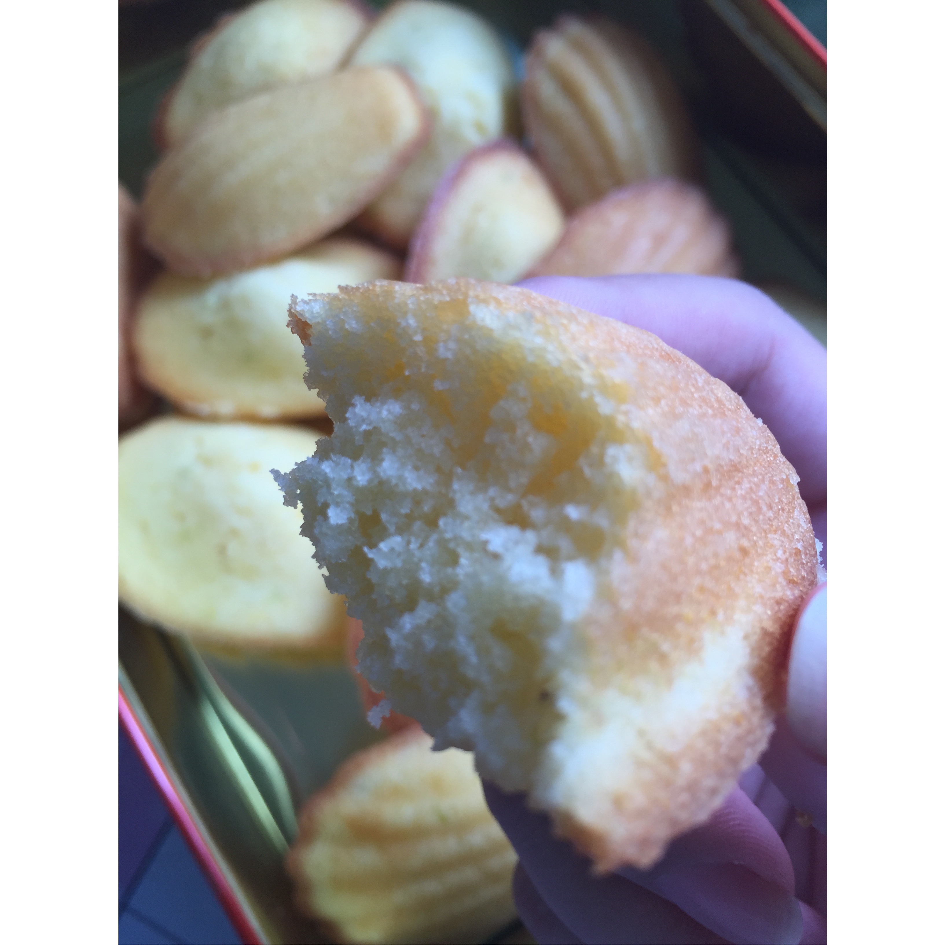玛德琳蛋糕