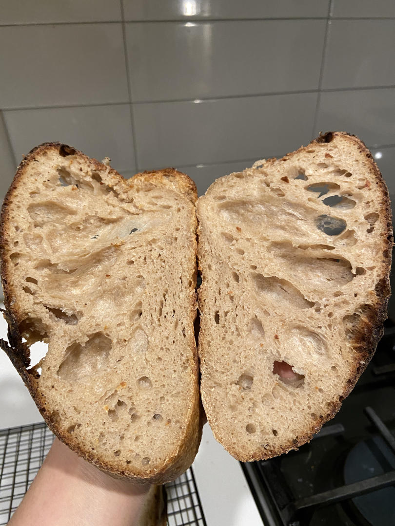 【Tartine Bread】天然酵种基础乡村欧包