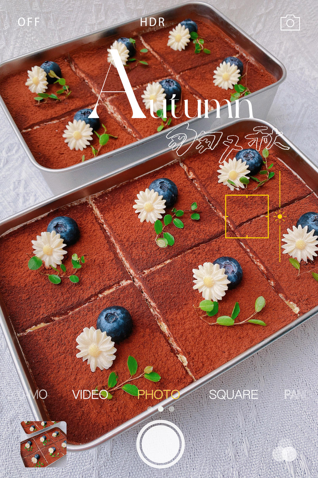 网红盒子提拉米苏💕夏日快手小甜品