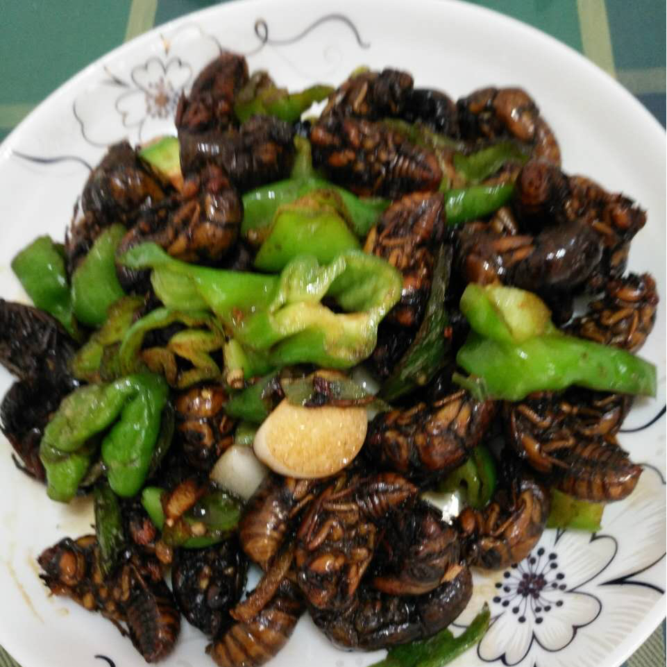 喜欢生活中的烟火气息做的爆炒金蝉