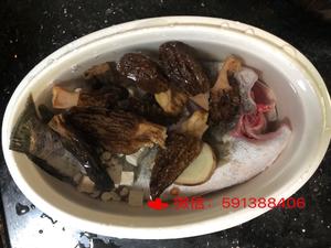 黑鱼羊肚菌茨实茯苓汤的做法 步骤4