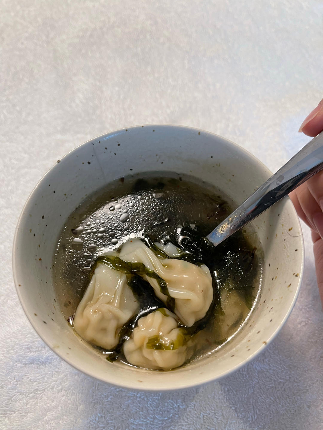 独门小馄饨（四粉两油一汤调馅大法）