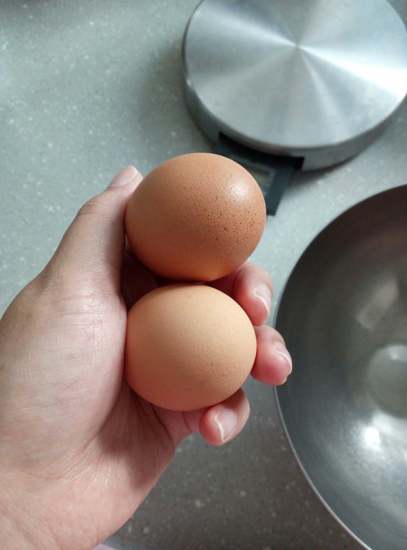 芝麻鸡蛋卷的做法 步骤1