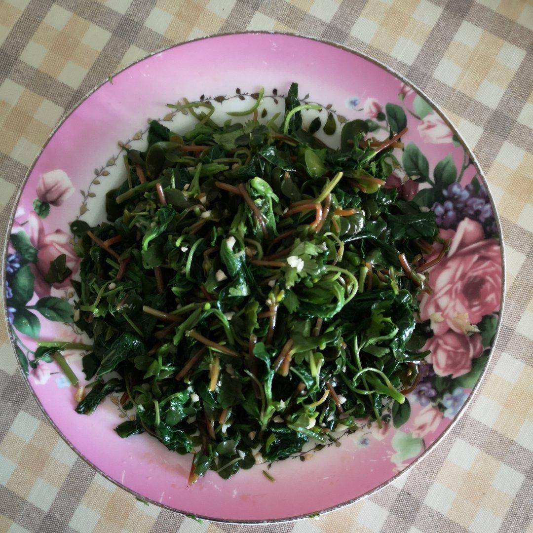 凉拌马马菜（凉拌马齿苋）