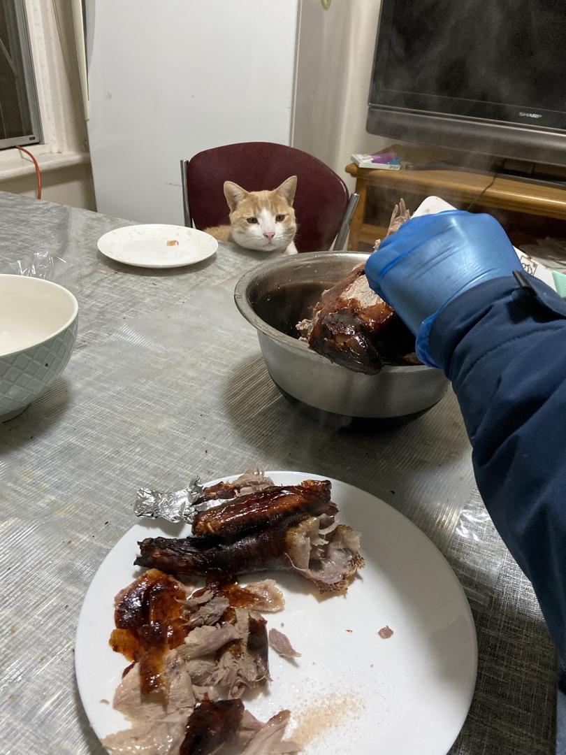 海外党家里的北京烤鸭