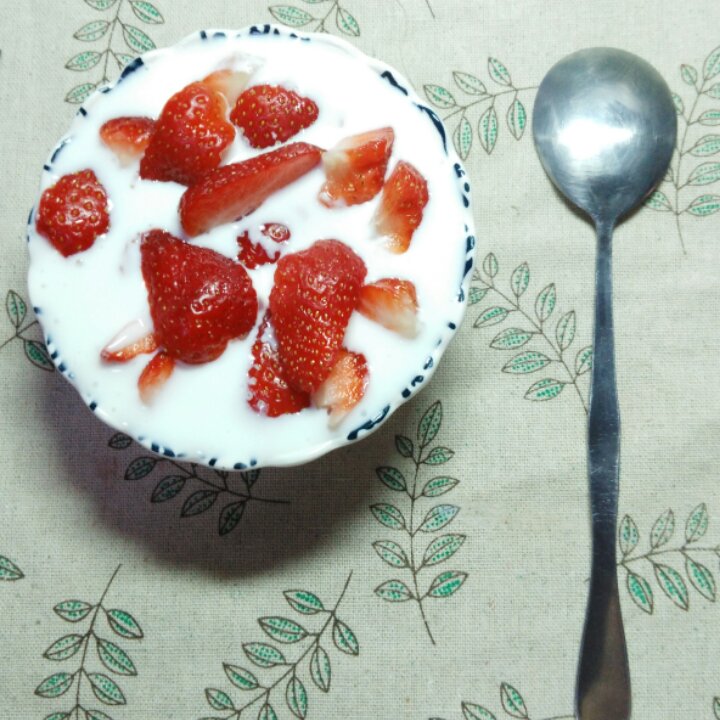 里海酸奶——可能是最好吃的酸奶，也可能是最长的菜谱名