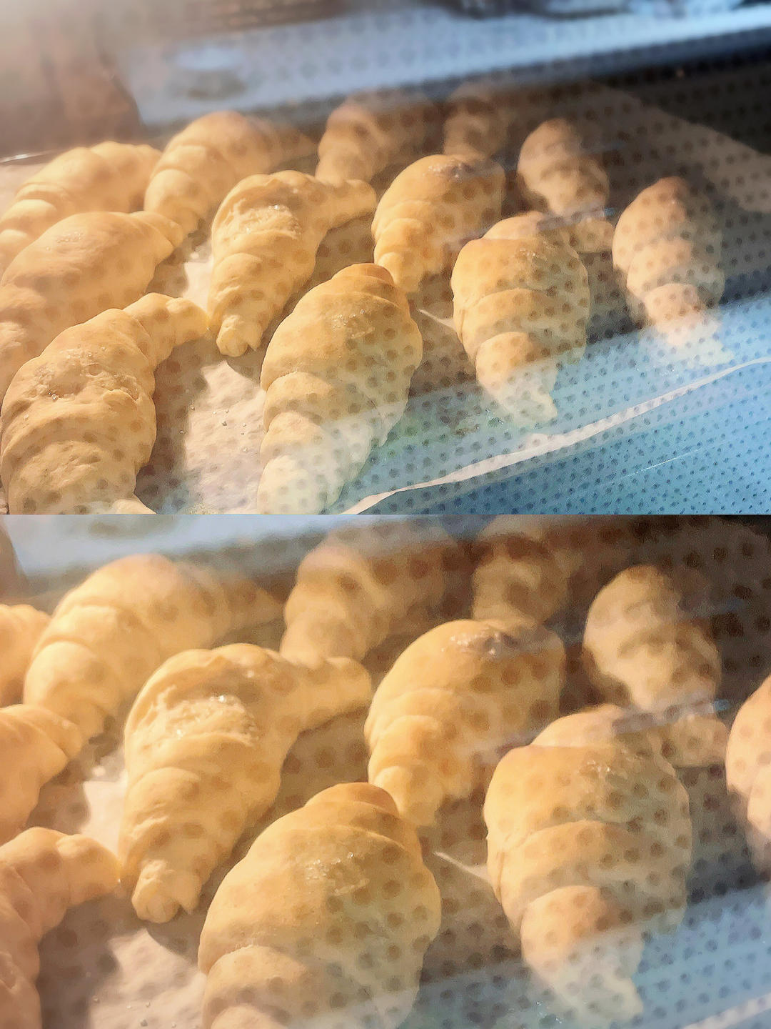 免手套膜❗️人气🔥日式盐面包｜盐可颂｜海盐卷