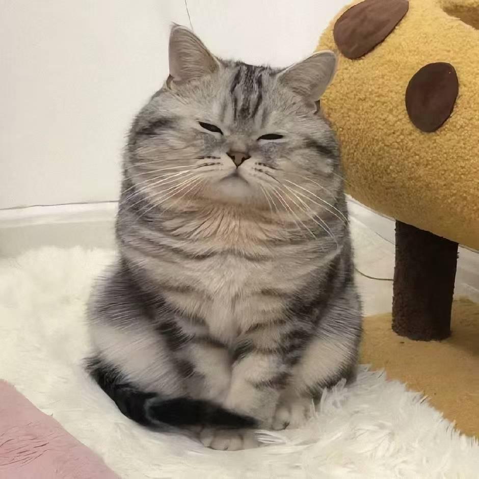 醋椒莴笋丝
