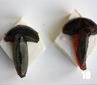福禄寿喜拌豆腐的做法 步骤10