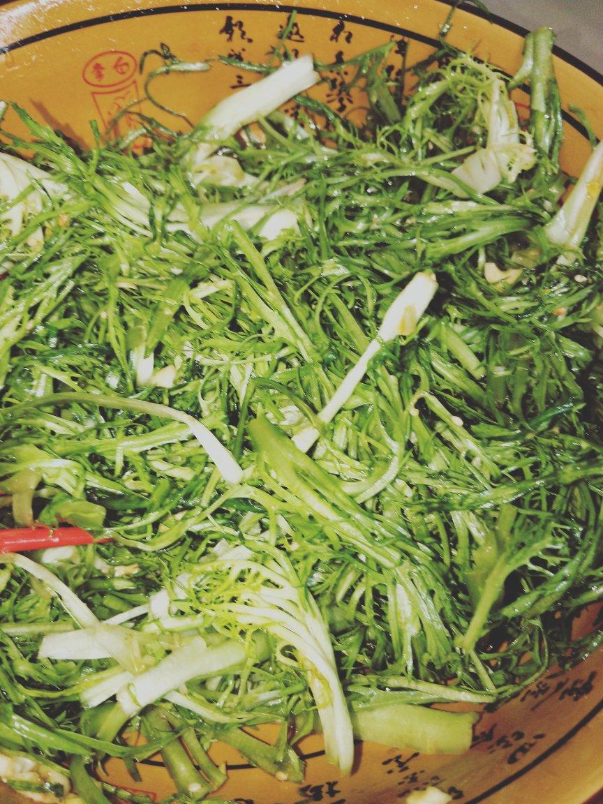 呛拌苦菊